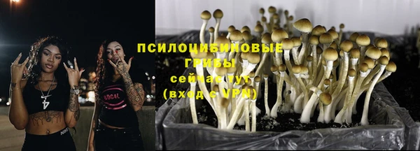 мет Верея