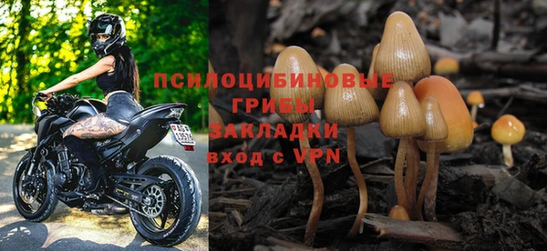 гашик Верхний Тагил