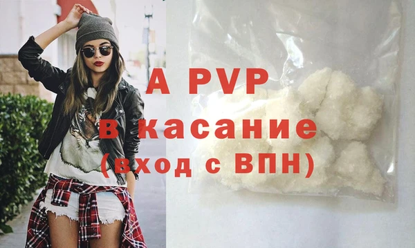 крисы Чистополь