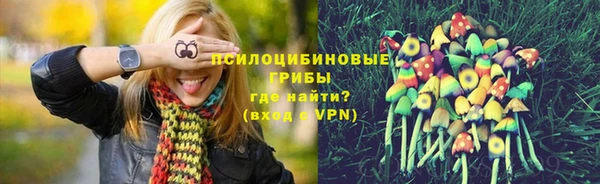 мет Верея