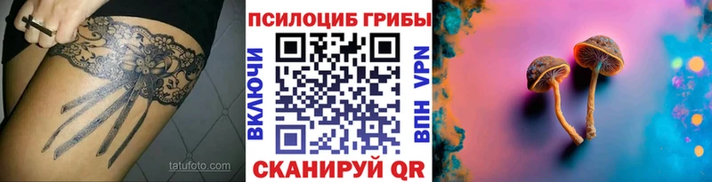 KRAKEN как войти  Касли  Галлюциногенные грибы GOLDEN TEACHER 